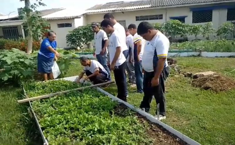 Alunos Aprendendo na Horta